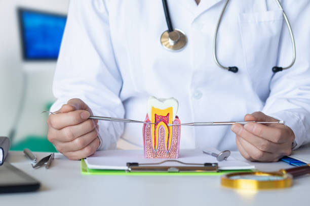 Best Same-Day Emergency Dental Services in White Pigeon, MI